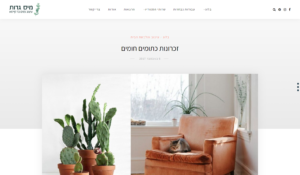 עיצוב פנים בר קיימא לבית